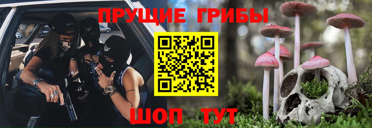 Алейск  Галлюциногенные грибы прущие грибы  даркнет сайт  Вход с VPN 