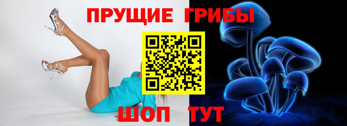 Галлюциногенные грибы Magic Shrooms Алейск